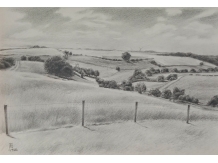 bryan harford, pencil drawing, war of the roses, battle of towton, bloody meadow, towton
