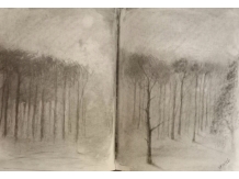 nocturnal, woodlands, charcoal on paper, bryan harford