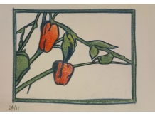red peppers, bryan harford, coloured pencil,