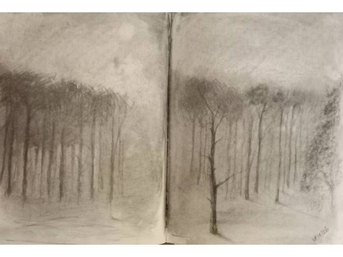 nocturnal, charcoal drawing, bryan harford, woodlands