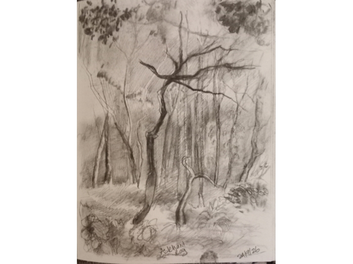 askham  bog, charcoal drawing, bryan harford, conservation